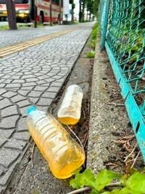 GW中は深刻…高速PAなどでの“マナー違反” 物流担うトラック運転手たちが“大迷惑”…「これじゃ休息が取れない」