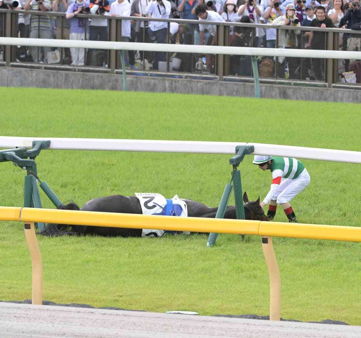 「人間のエゴで博打の駒にして...都合良すぎ」　スキルヴィング急死、競馬ファンに元騎手激怒「偽善者大嫌い」（J-CASTニュース） - Yahoo!ニュース