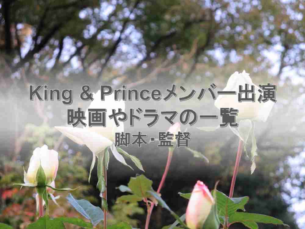 キンプリのメンバーが出演した映画・ドラマの脚本家や監督の一覧 | 人生はひつまぶし