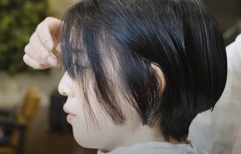 芸能人、有名人の髪質