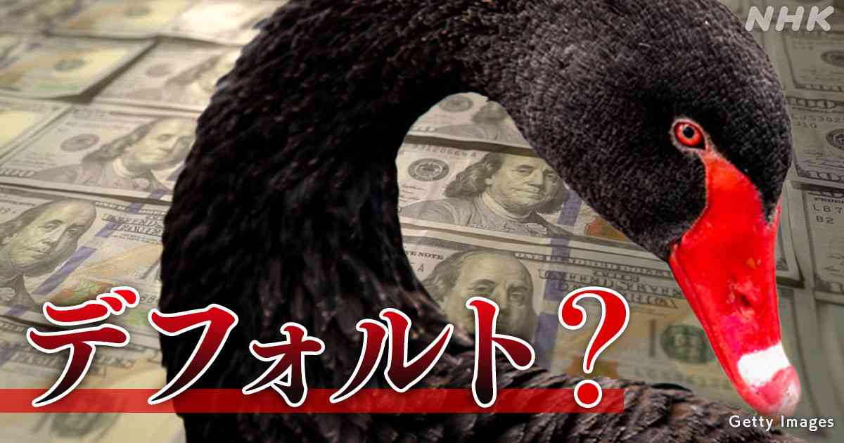 アメリカ債務上限問題 「黒い白鳥」ほんとに現れるか？【コラム】 | NHK