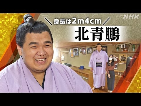 [ニュースLIVE！ ゆう5時] 北青鵬 | 夏場所注目力士 | 2m4cm！規格外の相撲 | 能町みね子のゆう5時相撲部 | 小田切千×片山千恵子 | NHK - YouTube