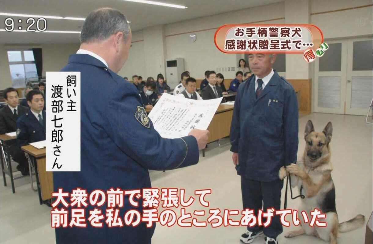 愛くるしい画像で癒やされたい