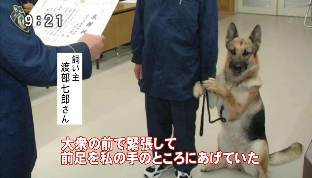 愛くるしい画像で癒やされたい