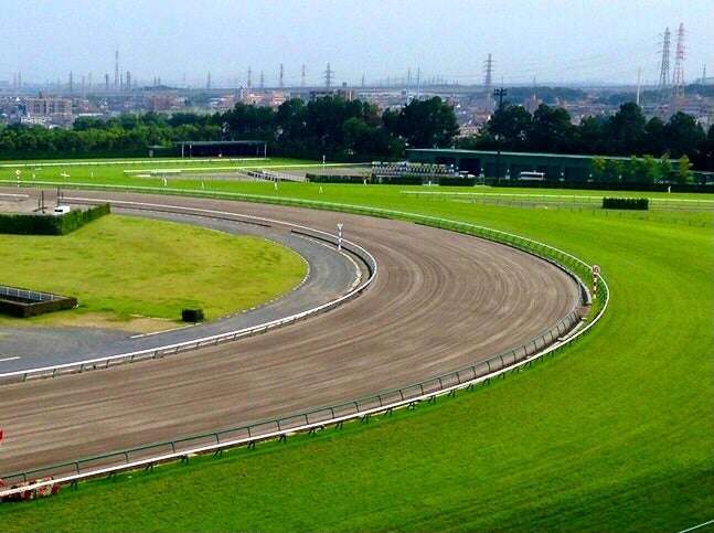 確かめる力 | 細川茂樹オフィシャルブログ Powered by Ameba