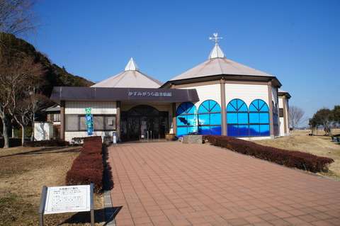 かすみがうら市水族館（茨城県）の感想 : 水族館に行ってまいります。