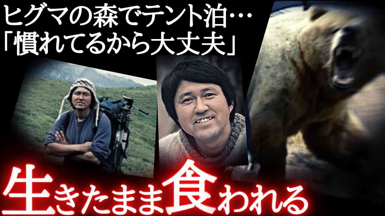 ヒグマに引きずられズタボロ…ガイドを無視した最悪の結果。 - YouTube