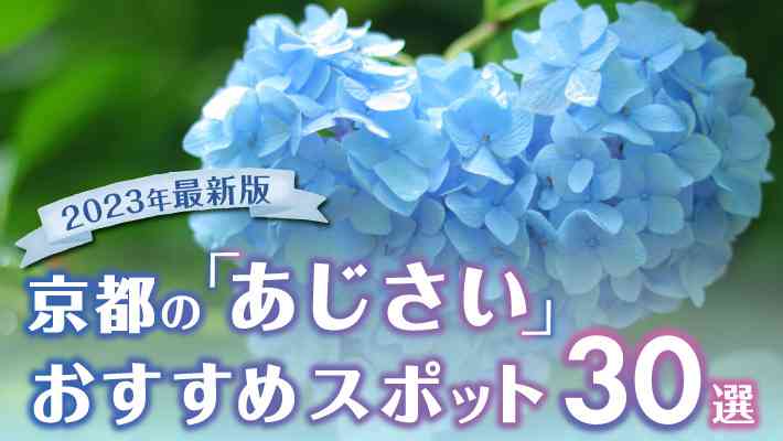 【2023年最新版】京都の「あじさい」が美しいおすすめスポット30選 - MKメディア