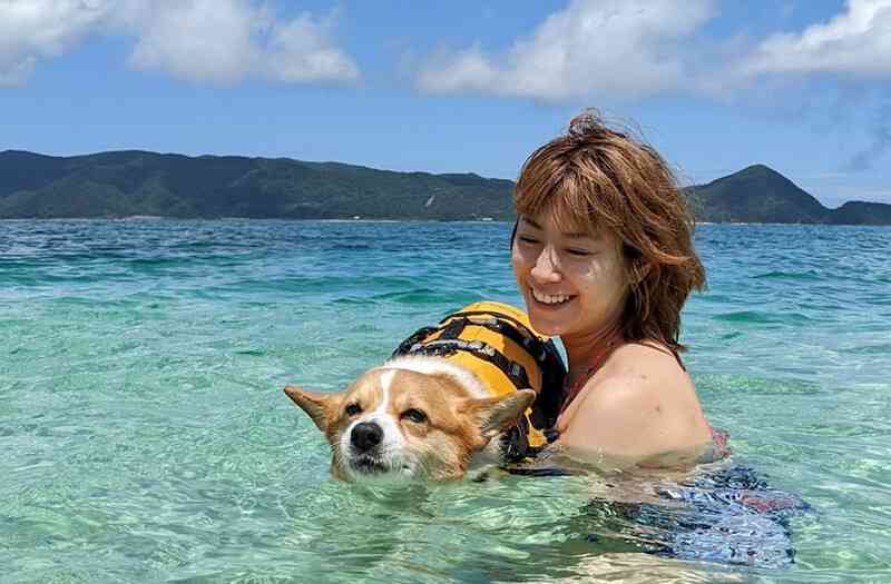 IMALU　移住先での思わぬ事態に困惑「住所が島中に広がっているようで」　プライベートへの理解求める