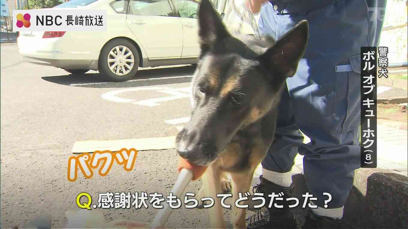 【画像】笑える画像