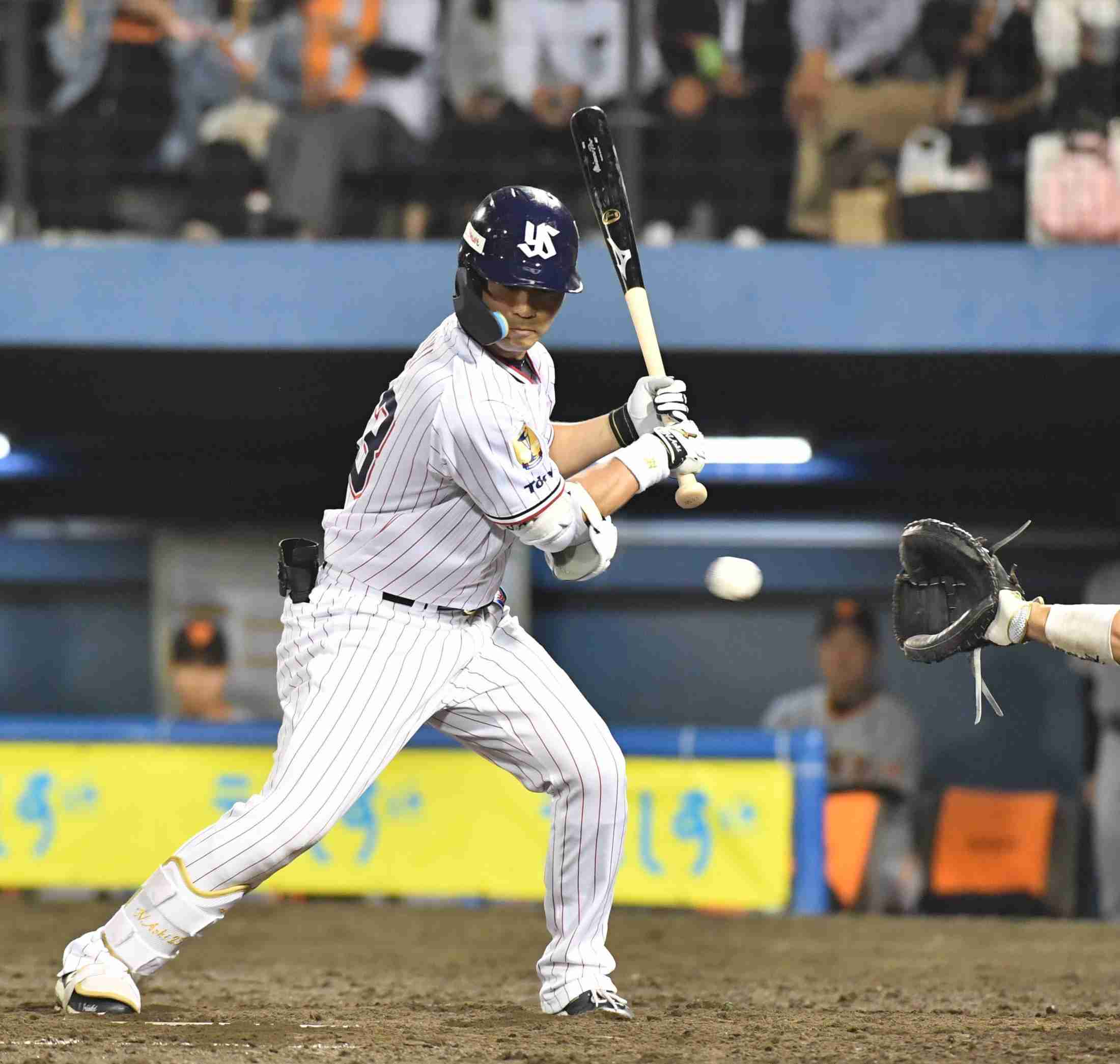 なぜ？ヤクルト・青木の死球認められず高津監督はぶ然　巨人捕手の大城も猛アピール【解説】（デイリースポーツ）のコメント一覧 - Yahoo!ニュース