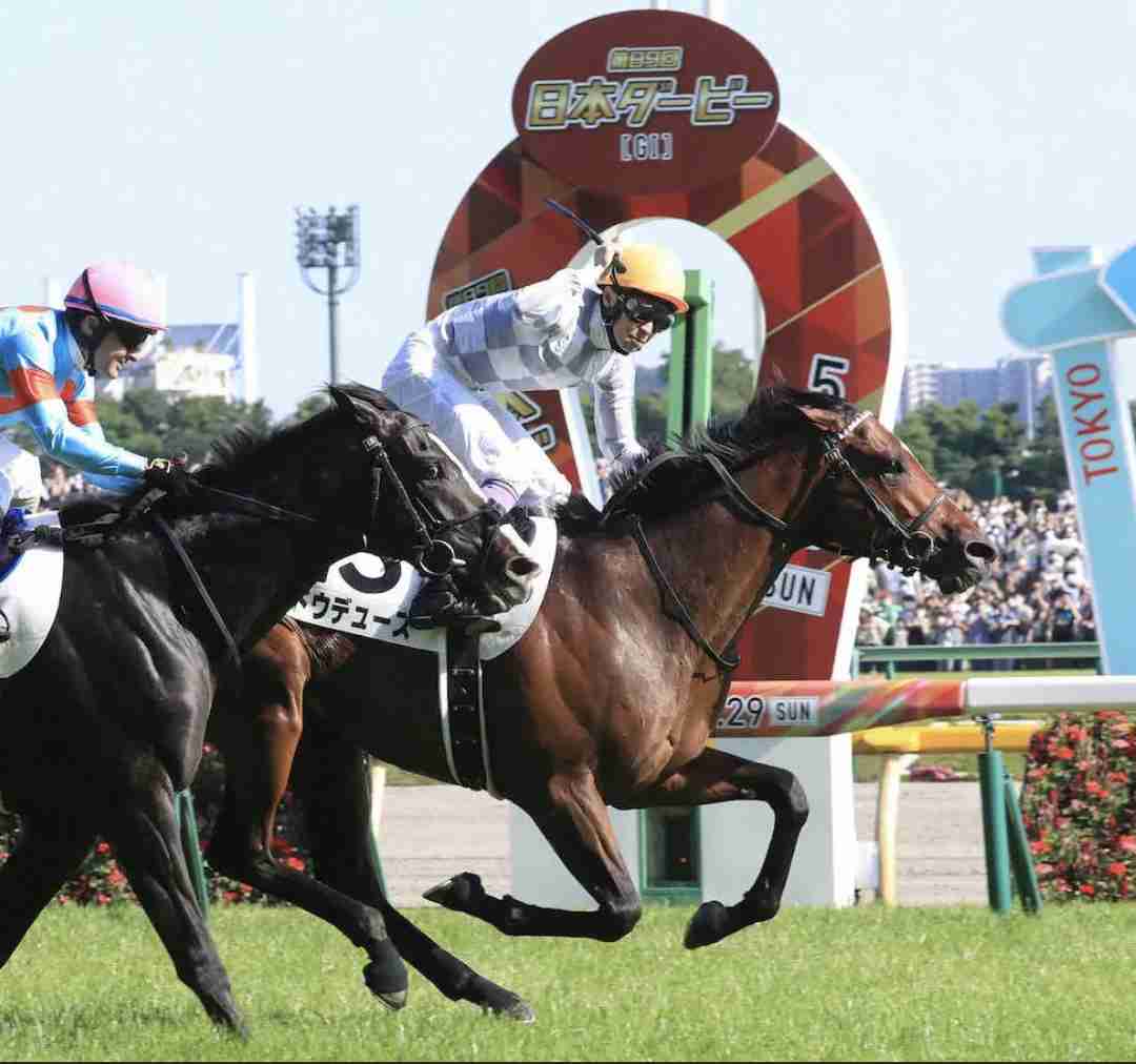 【競馬】UMAJO集まれ！ part 25【アンチ厳禁】