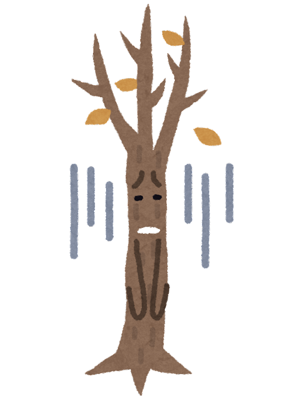 ガーデニングの失敗あるある