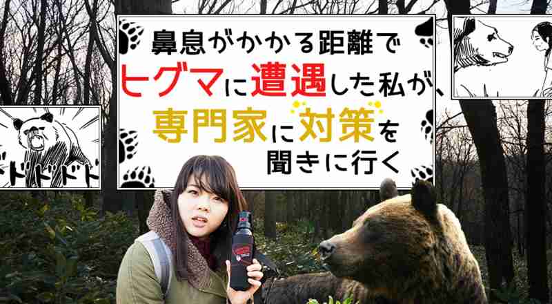 鼻息がかかる距離でヒグマに遭遇した私が、専門家に対策を聞きに行く - イーアイデムの地元メディア「ジモコロ」