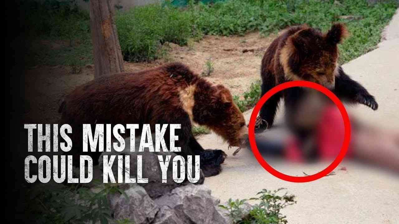 The Worst Things To Do in a Bear Attack - YouTube