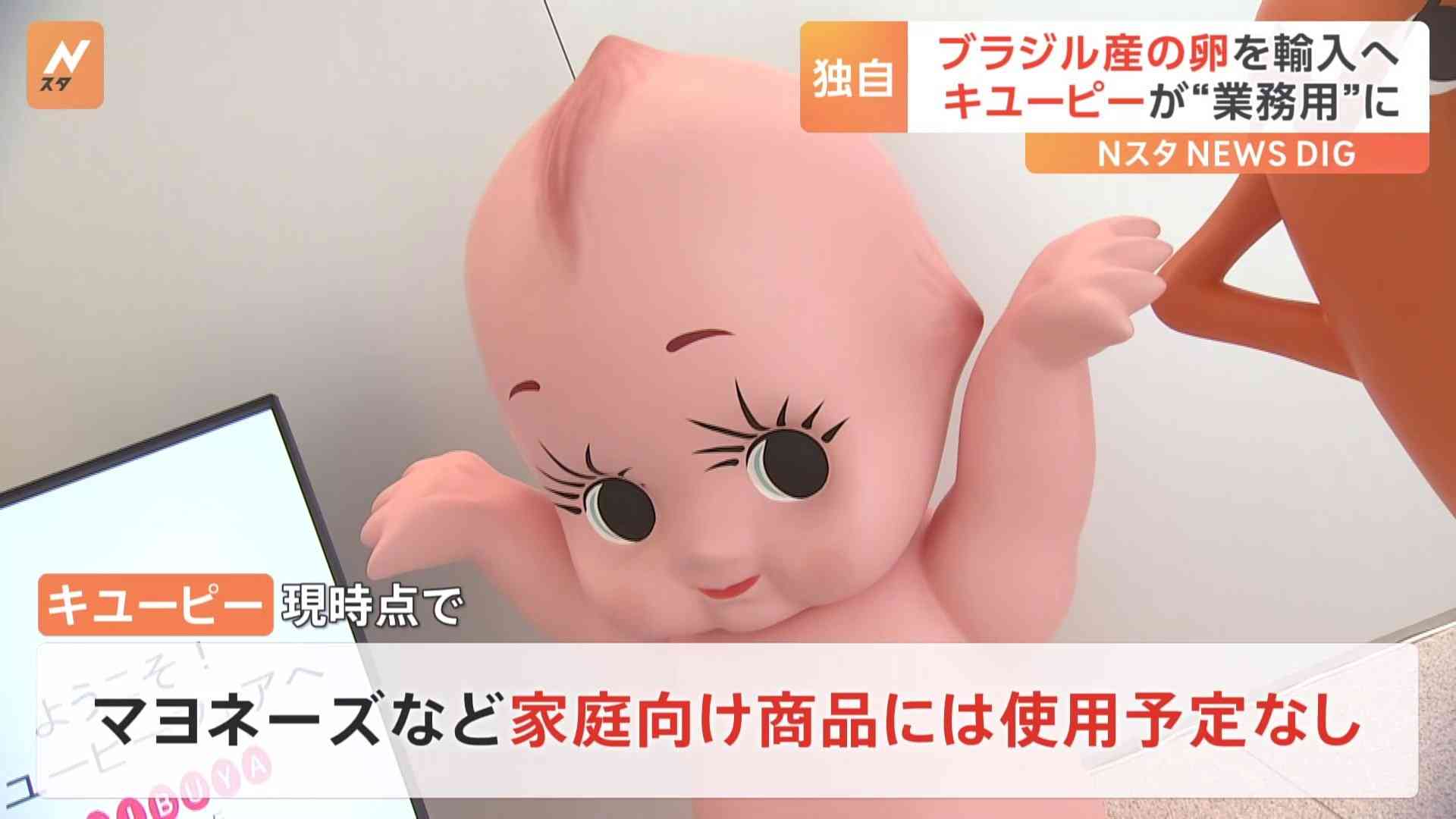 【独自】キユーピーが「ブラジル産卵」輸入へ　供給量不足や価格の高騰受け　“業務用商品”向けに | TBS NEWS DIG