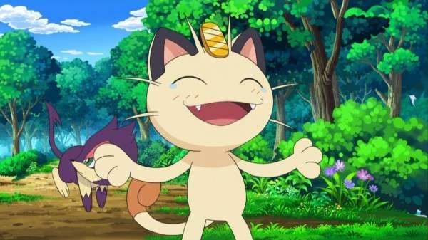 がるちゃん猫カフェ87号店開店しました♫(初めての方も大歓迎♫)