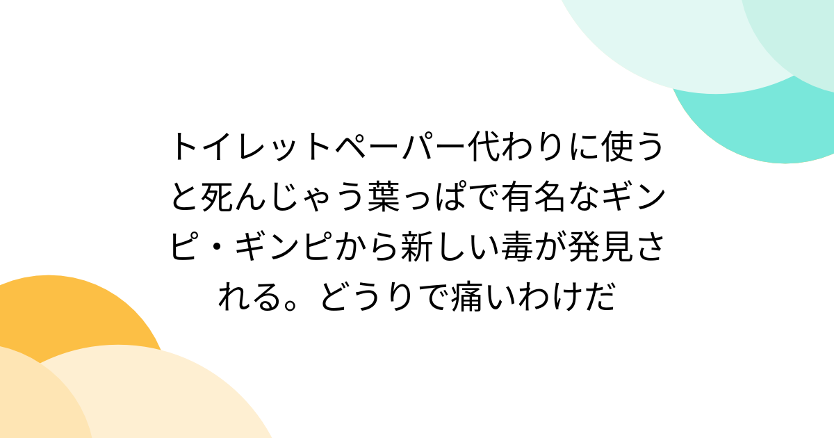 トイレットペーパー代わりに使うと死んじゃう葉っぱで有名なギンピ・ギンピから新しい毒が発見される。どうりで痛いわけだ - Togetter