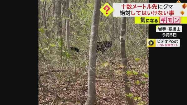 【絶対に走らないでください】クマは時速40km　人間が振り切るの無理　岩手・鞍掛山で登山客が至近距離で出くわす｜FNNプライムオンライン