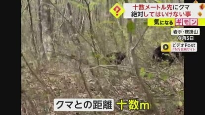 【絶対に走らないでください】クマは時速40km　人間が振り切るの無理　岩手・鞍掛山で登山客が至近距離で出くわす　