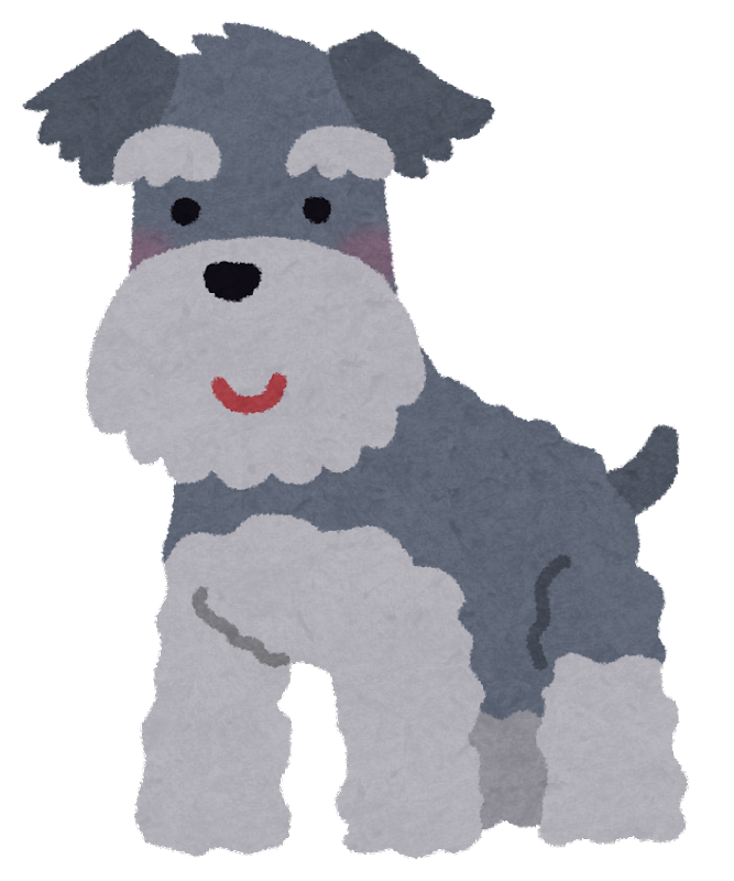 好きな犬種【みんなのオンリーワン🐶】
