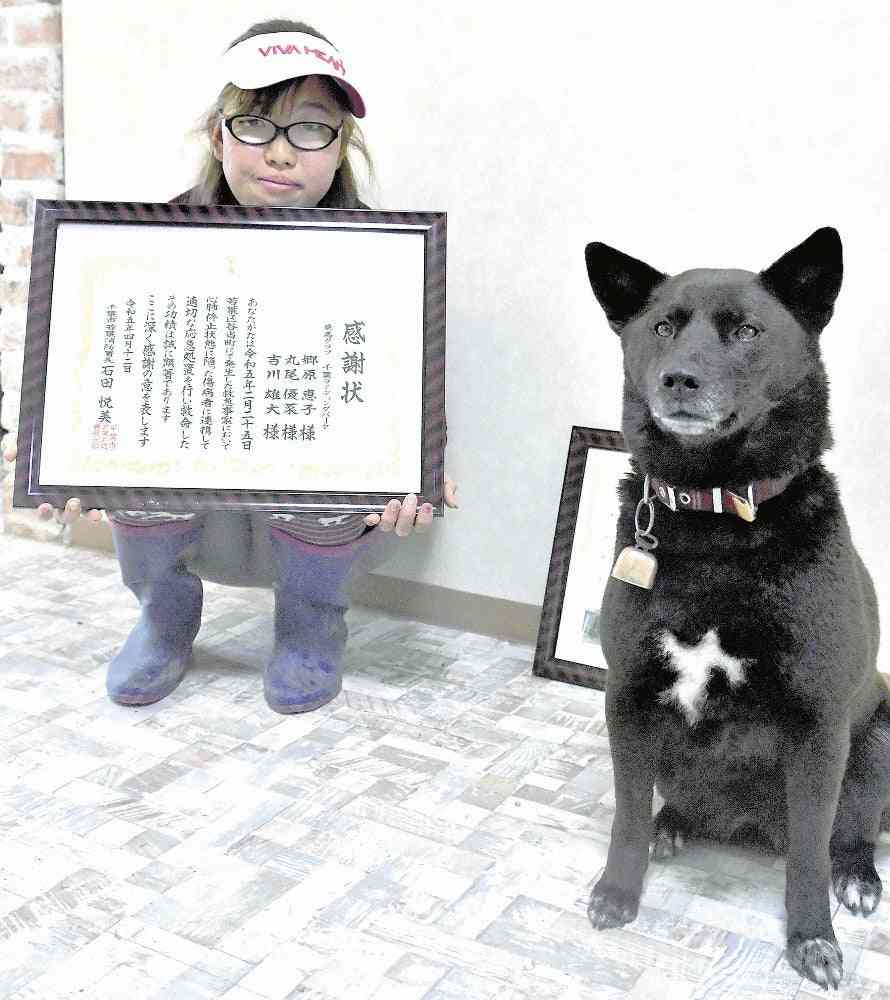 普段おとなしく人懐こい犬、大声で数分ほえ続けた…心筋梗塞で倒れた男性の「異常」知らせる | ガールズちゃんねる - Girls Channel