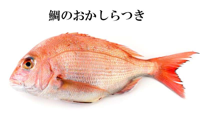大人なら常識！「鯛の“おかしら”つき」漢字で書くと“尾頭”？ or “御頭”？ | Oggi.jp