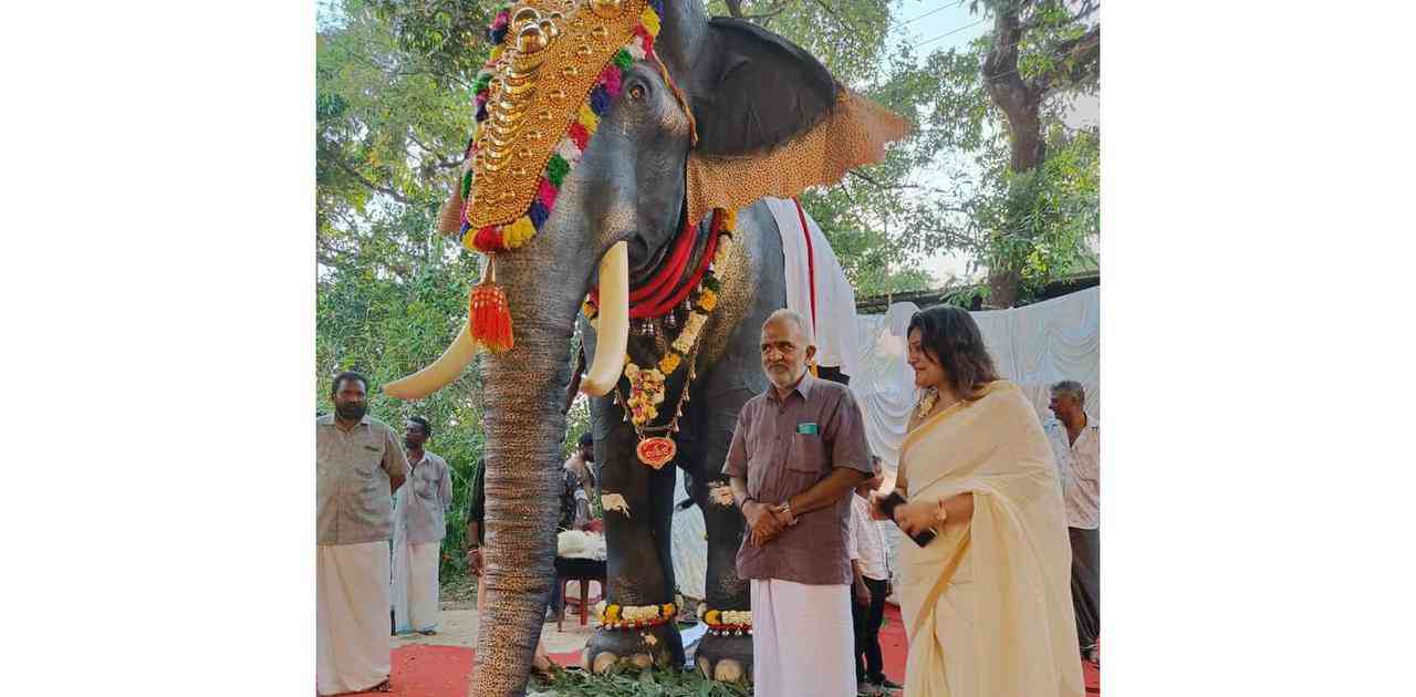 インドの寺院に｢ゾウさんロボット｣が普及している理由 | ギズモード・ジャパン