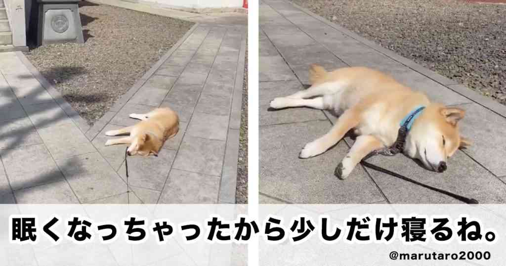 [悲しみ]トピが盛り上がらん[トピ主集合]part4