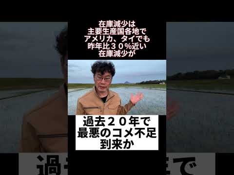 過去２０年で最悪のコメ不足到来か - YouTube