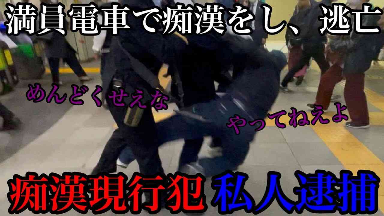 【衝撃映像】痴漢現行犯が激しく抵抗し逃走、実力行使にて制圧 - YouTube