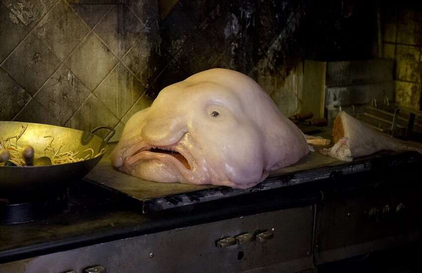 タイタン号事故「死んでも運営会社は責任負わない」乗客署名は有効か？　