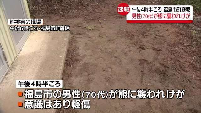 速報　福島市で男性が熊に襲われけが　被害と目撃情報相次ぐ【福島県】　（福島中央テレビ） - Yahoo!ニュース