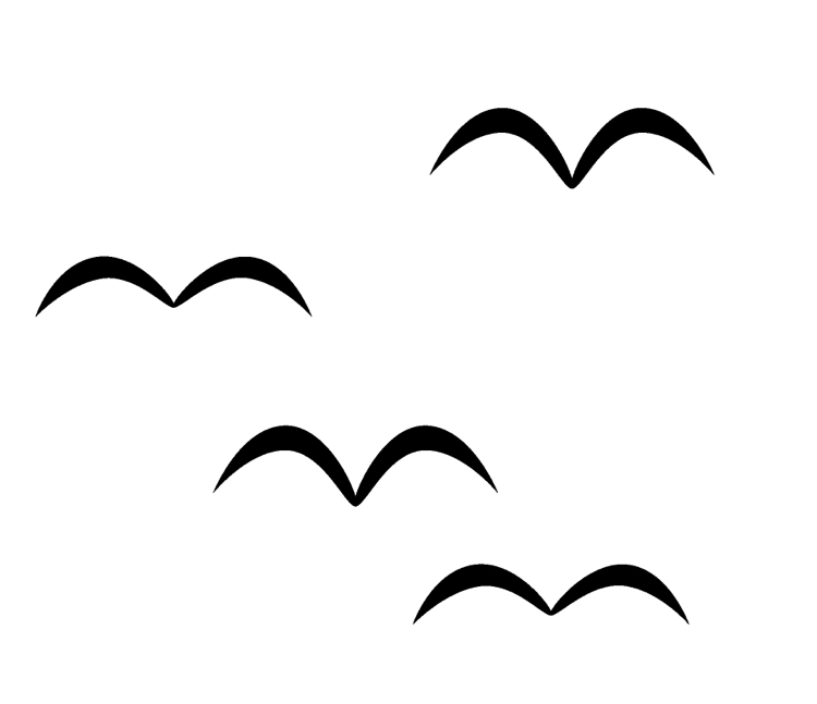 気を抜くと眉毛が繋がる