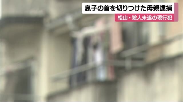 １０代息子を包丁で切り付け　母親を殺人未遂で現行犯逮捕 「殺すつもりなかった」【愛媛】（テレビ愛媛） - Yahoo!ニュース