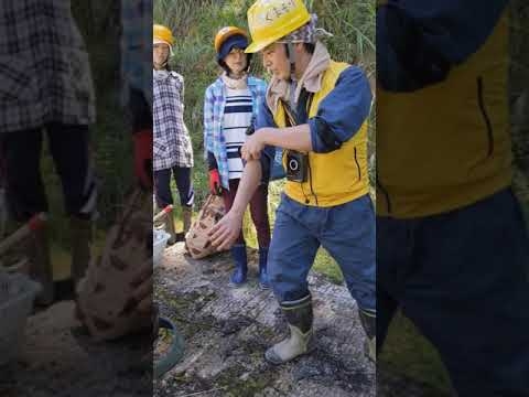 絶対知っておいてほしい「山で熊に遭遇した時の対処法」日本熊森協会 - YouTube
