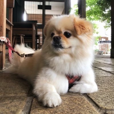 ??埼玉?? on Twitter: 