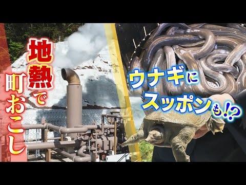大石邦彦アンカーマンが深掘り解説！ - YouTube