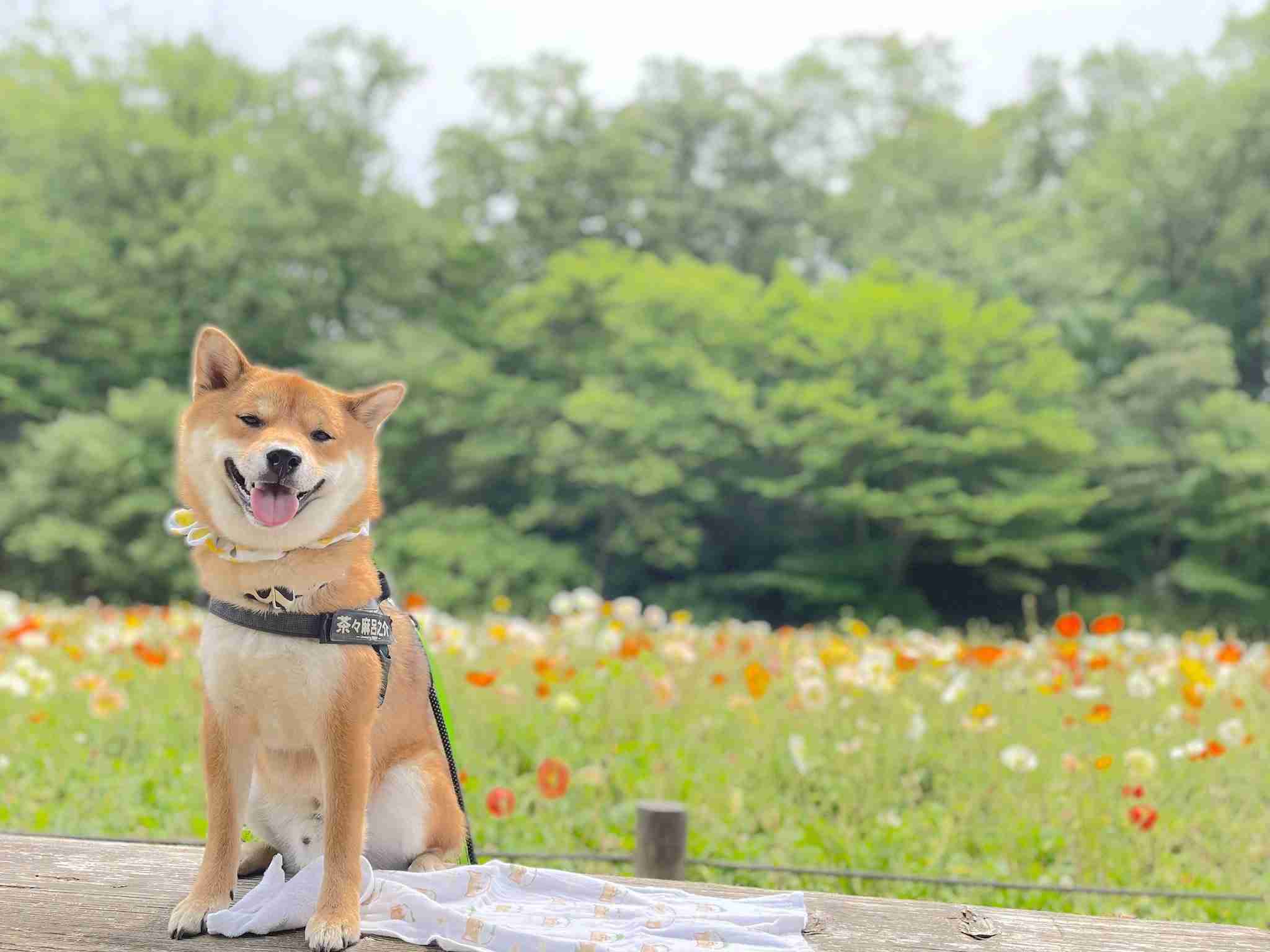 インパクトある名前だなと思った地名