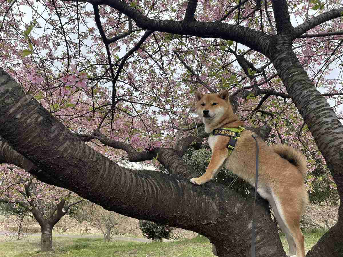 インパクトある名前だなと思った地名
