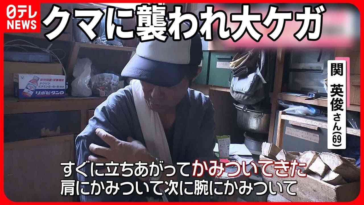 【クマ】「かみついたら絶対に離さない」襲われた男性は…  山形県で市街地への出没相次ぐ - YouTube