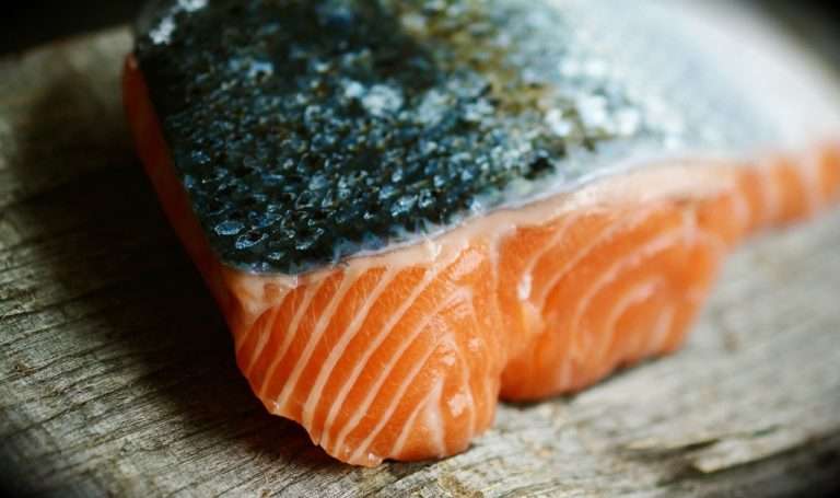 チリ産養殖サーモンの危険性 〜陸で産まれた魚たち〜│“食の未来を本気で考える一般人”の健康教室