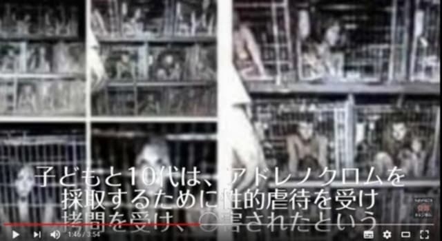 【閲覧注意】サルに残虐行為、映像を売買　BBC調査で国際ネットワークが判明