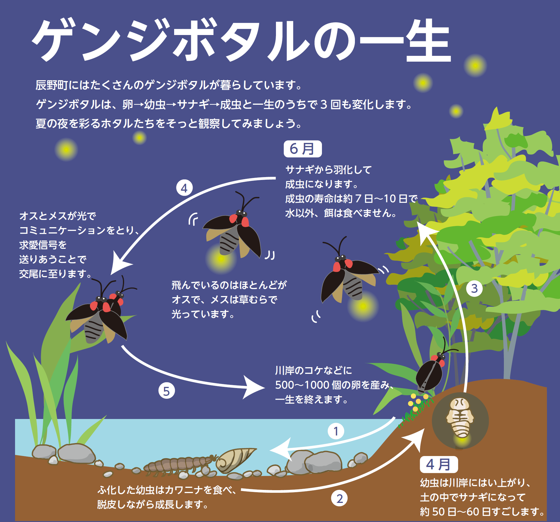 神社の池に金魚800匹捨てられる　体長3センチ、水面真っ赤　住民憤慨「あまりにも悪質だ」　霧島市