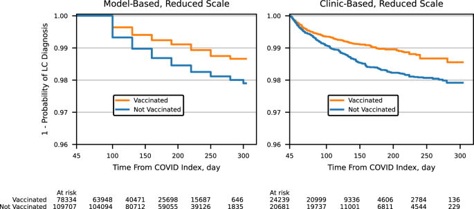 Long COVID risk and pre-COVID vaccination in an EHR-based cohort study from the RECOVER program | Nature Communications