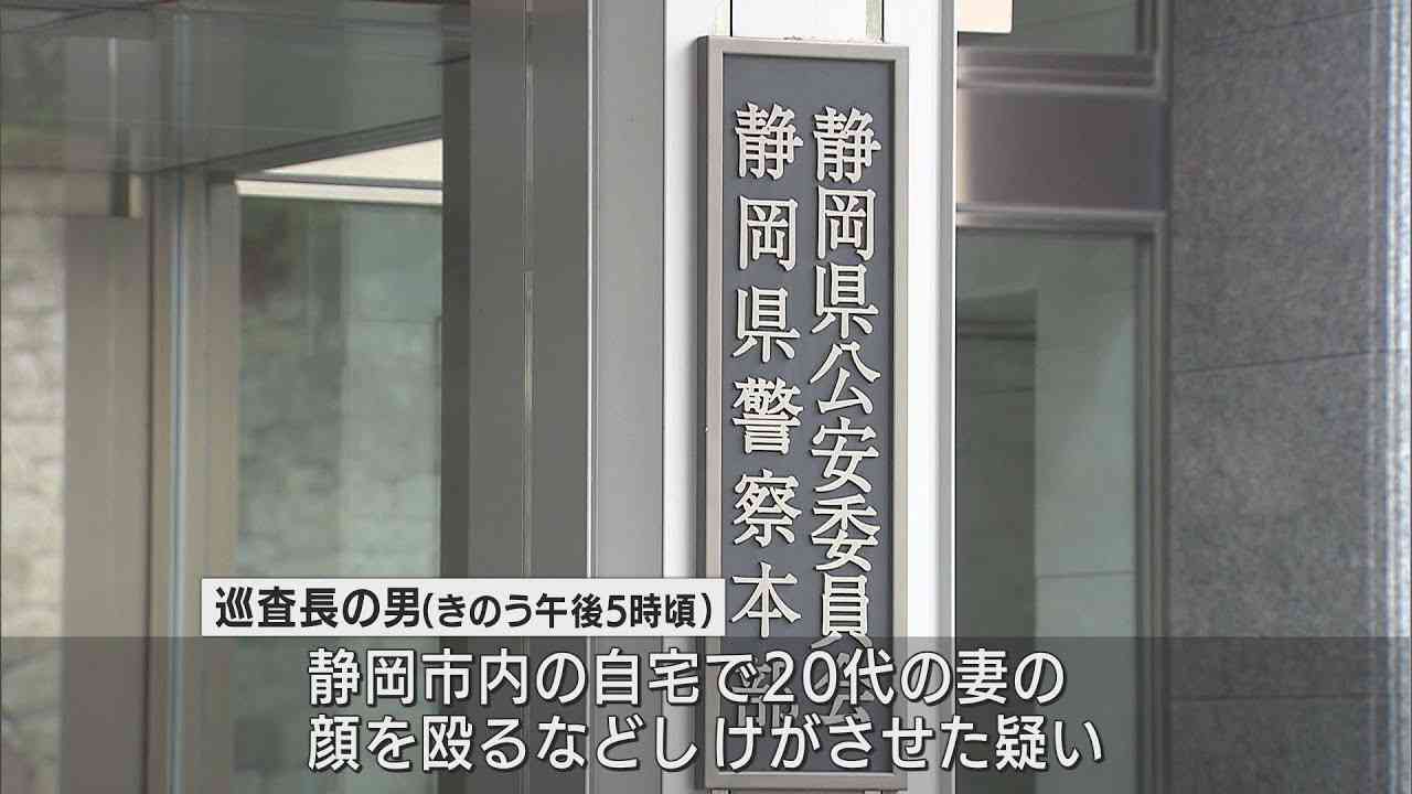 妻の顔を殴りけがをさせた傷害の疑い　静岡県警の警察官を逮捕　県警は氏名を明らかにせず - LOOK 静岡朝日テレビ