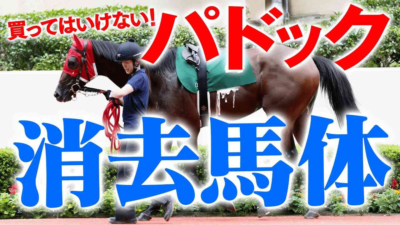 【パドックの見方】見つけたら買っちゃダメ！「即消し」できる４パターン【競馬予想】 - YouTube