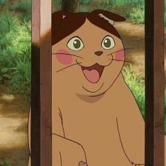 けんぼー on Twitter: 