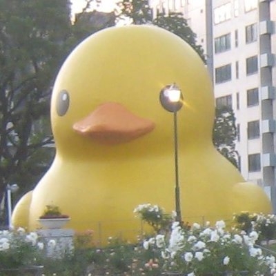 スターダックス(shinji.tsuda) on Twitter: 