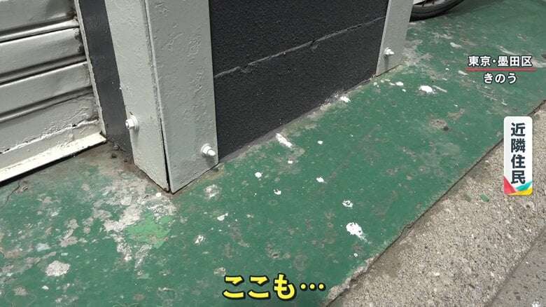 都心マンション屋上にウミネコが多数住み着き“巣作り” 原因は「屋上緑化」か? 近隣住民“みゃーみゃー”という鳴き声やフン被害に困惑